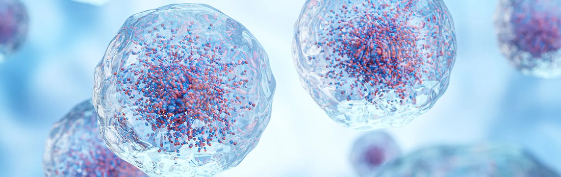 article-page-carousel-item--A Century of NAD+ Insights Drives Aging Science and Solutions Innovations