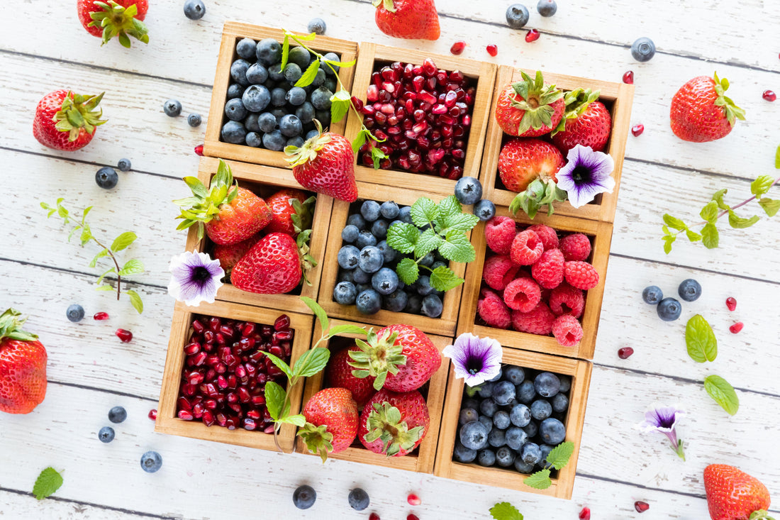 article-page-carousel-item--Impact of Plant Polyphenols on Longevity