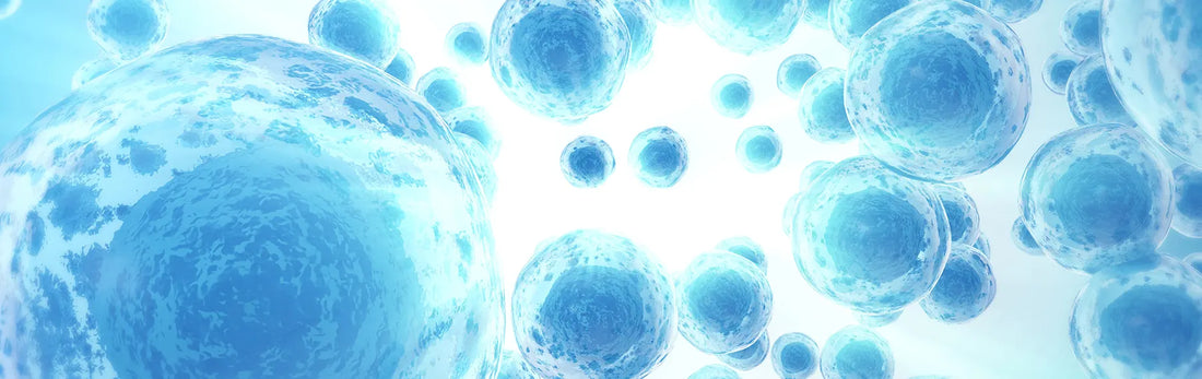 article-page-carousel-item--Anti-Aging Effects of NMN - Human Clinical Trials Review