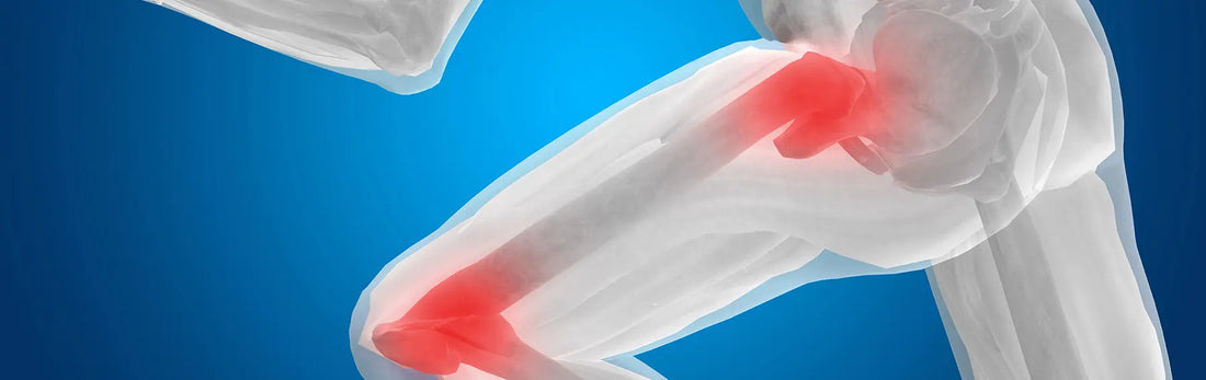 article-page-carousel-item--Collagen Supports Skin, Joint, and Gut Health