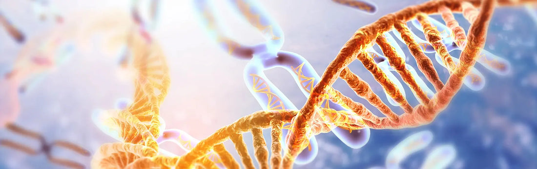 article-page-carousel-item--Could Quercetin be the answer to your histamine issues?