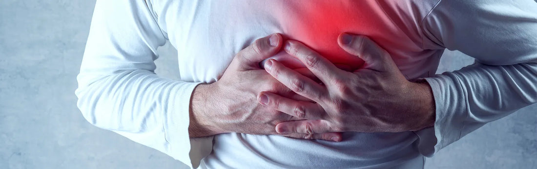 article-page-carousel-item--Heart Disease Related to Accumulation of DNA Damage and Oxidative Stress