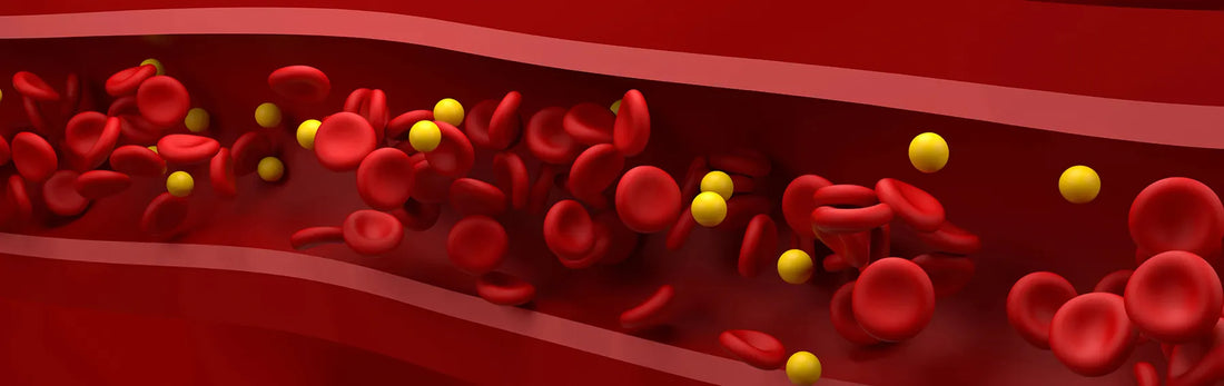 article-page-carousel-item--Study Shows NMN Reduces Arterial Stiffness & Blood Pressure