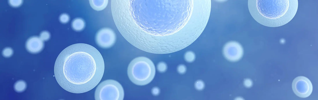 article-page-carousel-item--Liposomal Glutathione Reduced Oxidative Stress and Improved Immune Function in Humans