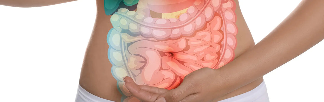 article-page-carousel-item--NAD Precursors Cycle Between Host Tissues and the Gut Microbiome