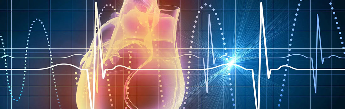 article-page-carousel-item--Potential of Niacin for Heart Health