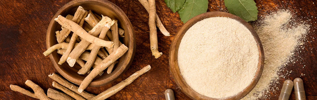 article-page-carousel-item--Research-Backed Benefits of Ashwagandha