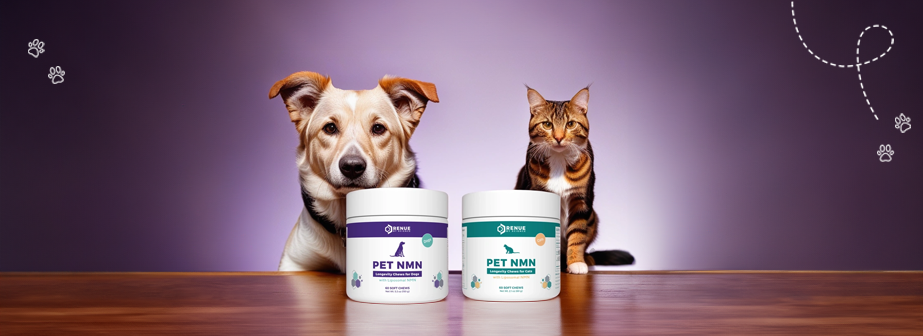 article-page-carousel-item--限时优惠:宠物 NMN 产品 20% 折扣