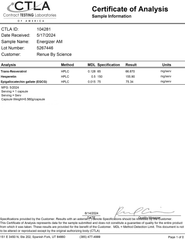 Energizer Report