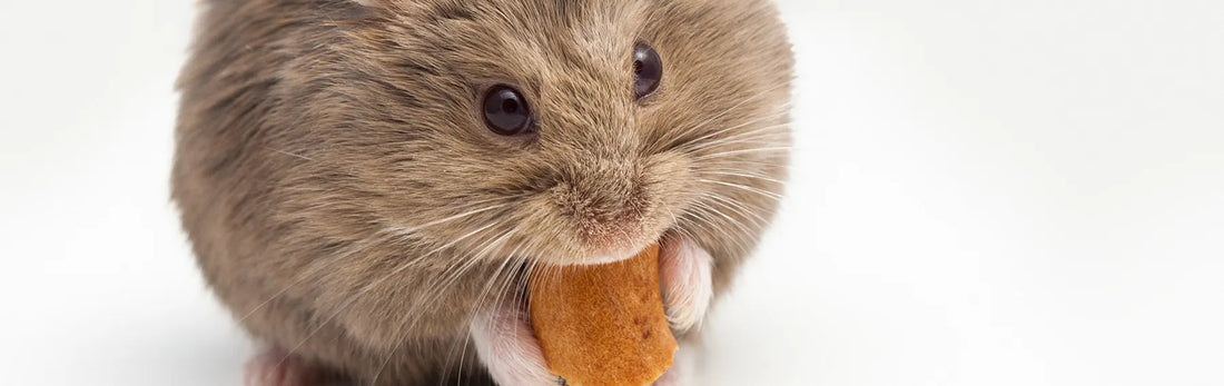article-page-carousel-item--A Novel NAD+ Precursor (NRH) Improves Glucose and Fat Metabolism in Obese Mice
