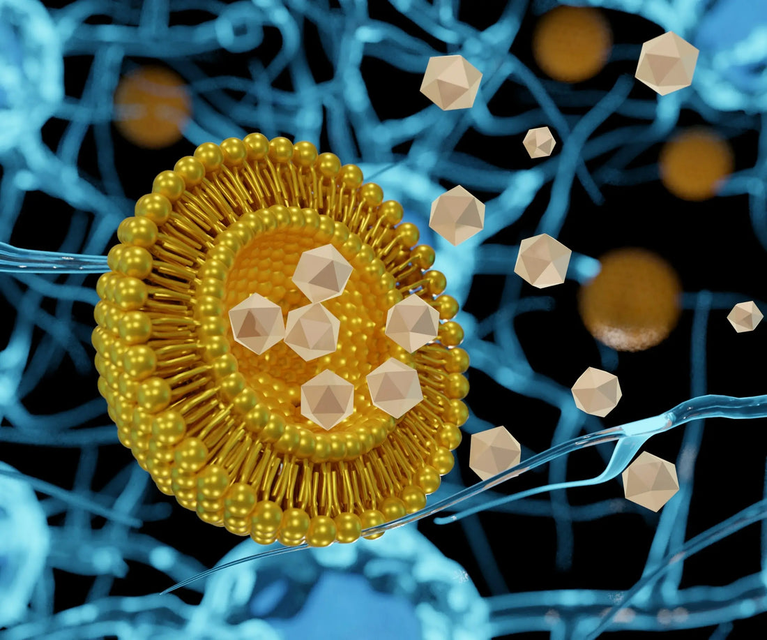 article-page-carousel-item--Efficacy of Liposomal Delivery Systems in Nutraceuticals