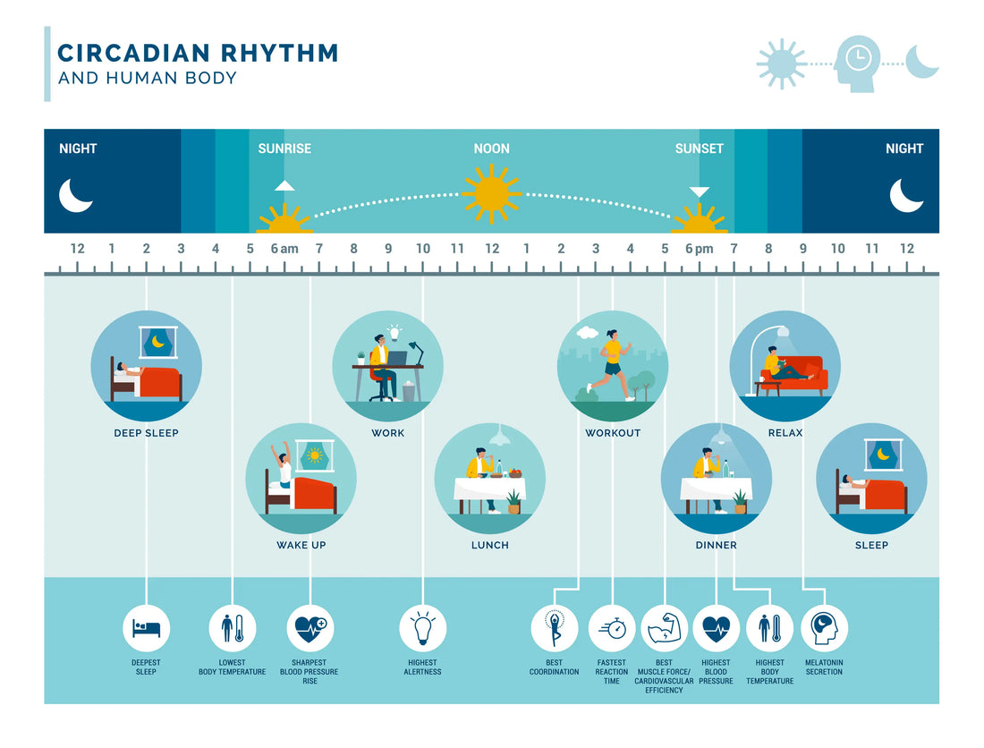 article-page-carousel-item--The Forgotten Foundations: Sleep, Sunlight, and Circadian Repair Pathways