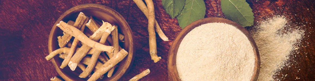 article-page-carousel-item--Long-Term Ashwagandha Improves Inflammatory and Metabolic Markers and Boosts Testosterone