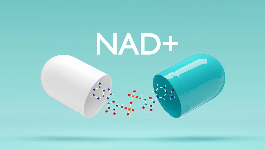 article-page-carousel-item--Emerging Strategies, Applications, and Challenges of Targeting NAD⁺ in the Clinic: A Review