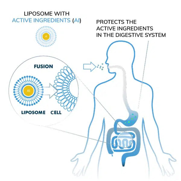 article-page-carousel-item--The Liposome Advantage