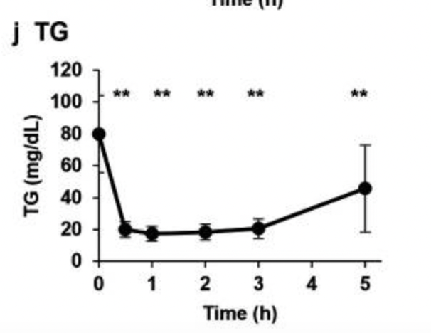 article-page-carousel-item--Intravenous NMN Results in Massive Decrease in Blood Triglyceride Levels