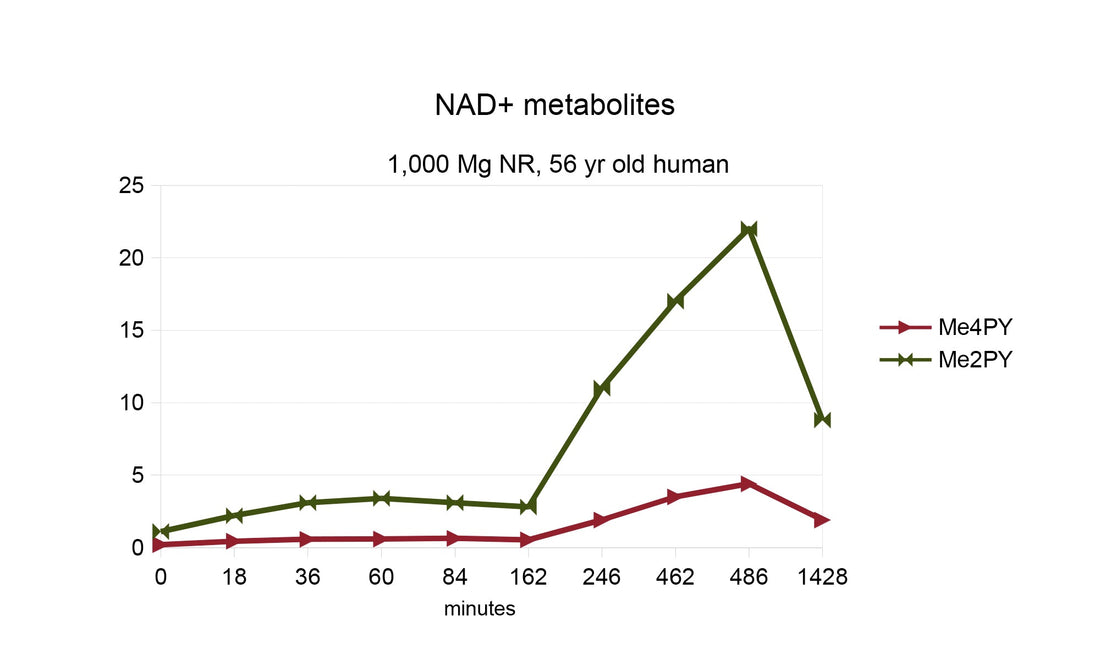 article-page-carousel-item--1st NMN Human Study Demonstrates Safety and Faster Utilization than NR