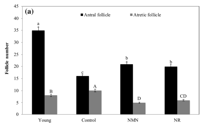 article-page-carousel-item--NMN and NR Alleviate Ovarian Aging in Rats