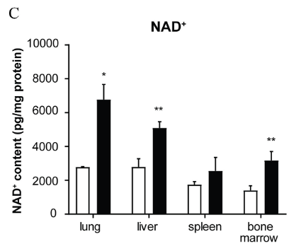 article-page-carousel-item--Study Shows NMN Protects Against Lung Damage in Mice