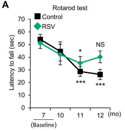 article-page-carousel-item--Study Shows Resveratrol Preserves Muscle Health in Aged Mice