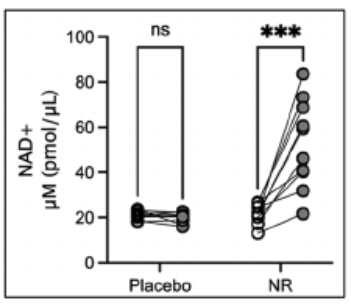 article-page-carousel-item--Clinical Trial Fails to Find Significant Benefit of NR in Adults with MCI