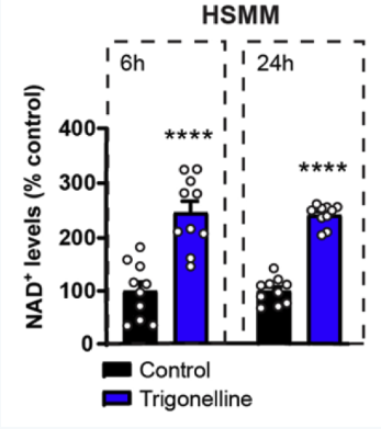 article-page-carousel-item--Trigonelline Improves Muscle Function During Ageing