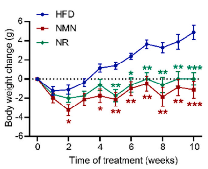 article-page-carousel-item--NMN More Effective Than NR for NAFLD in Mice