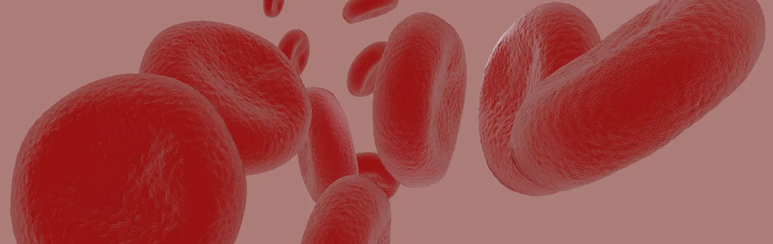 article-page-carousel-item--Study Reveals New Technique to Quickly and Accurately Measure Blood NAD+ Levels