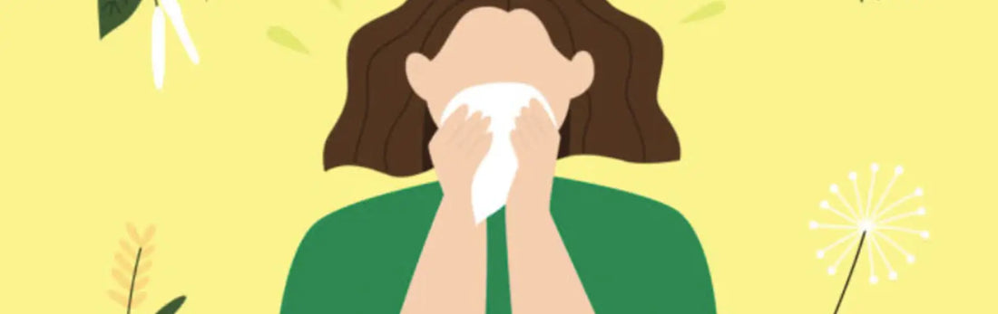 article-page-carousel-item--Therapeutic Potential of Quercetin in Allergy Management and Inflammation