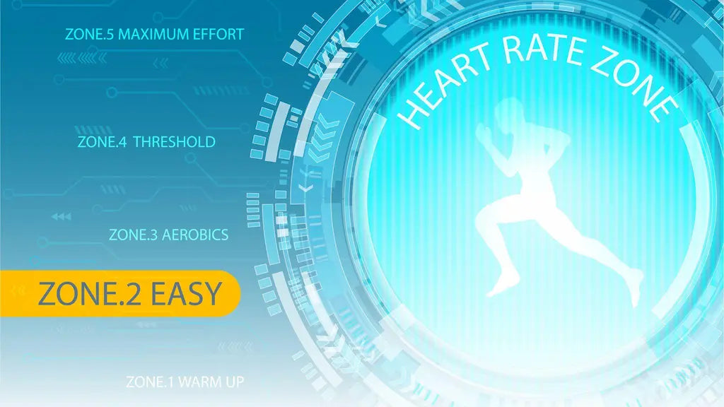 article-page-carousel-item--Zone 2 Training and NAD+ Production: The Longevity Sweet Spot