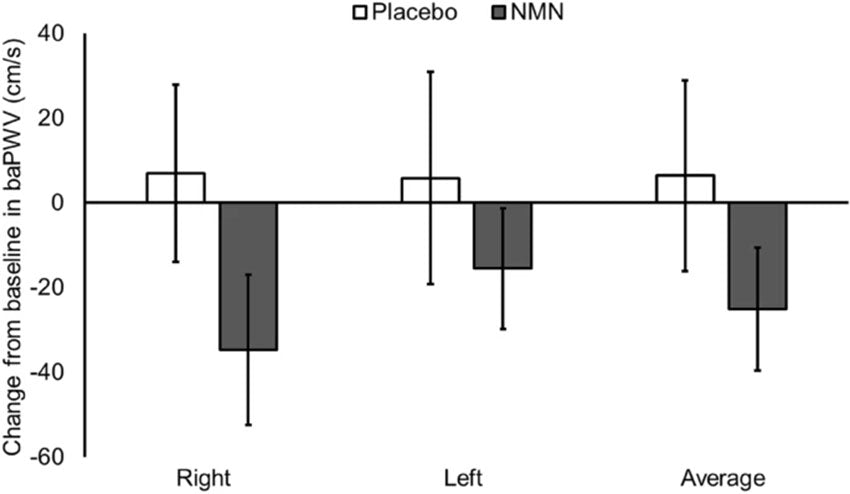 article-page-carousel-item--New Human Trial Shows NMN Reduced Blood Vessel Stiffness and Significantly Decreased Diastolic Blood Pressure