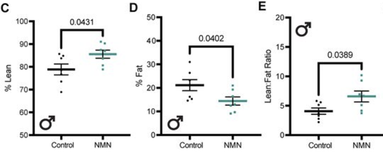 article-page-carousel-item--Long Term NMN Use Extends Lifespan and Healthspan in Mice with Sex-Specific Effects