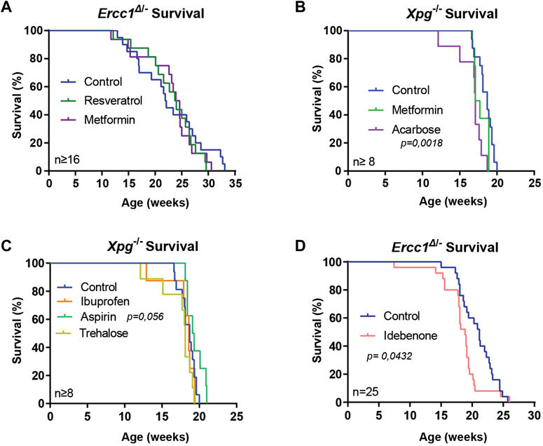 article-page-carousel-item--NR Shows Ability to Promote DNA Repair and Increase Lifespan by 25% in Mice