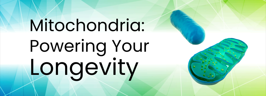 article-page-carousel-item--Mitochondria: The Hidden Key to Longevity?