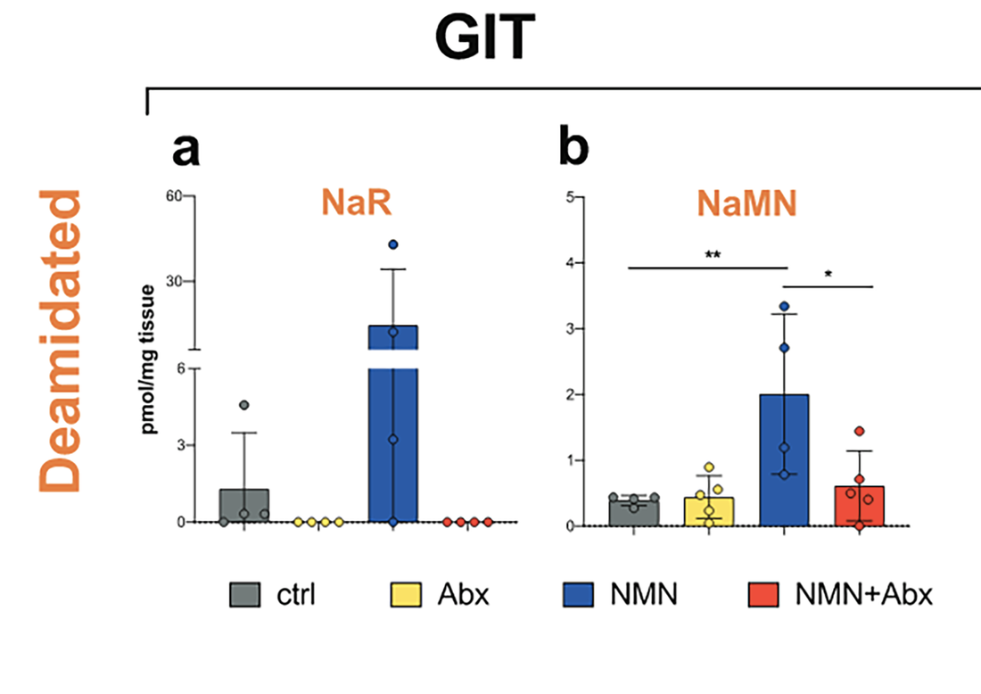 article-page-carousel-item--Bacteria in Gastrointestional Tract Metabolize NMN and Impact NAD+ Metabolome