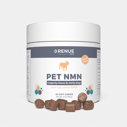 PET NMN Longevity Chews for Petite Dogs