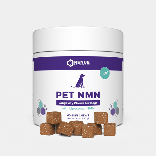 PET NMN 犬用長寿チュー