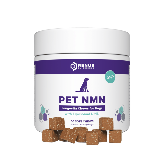 PET NMN Longevity Chews for Dogs