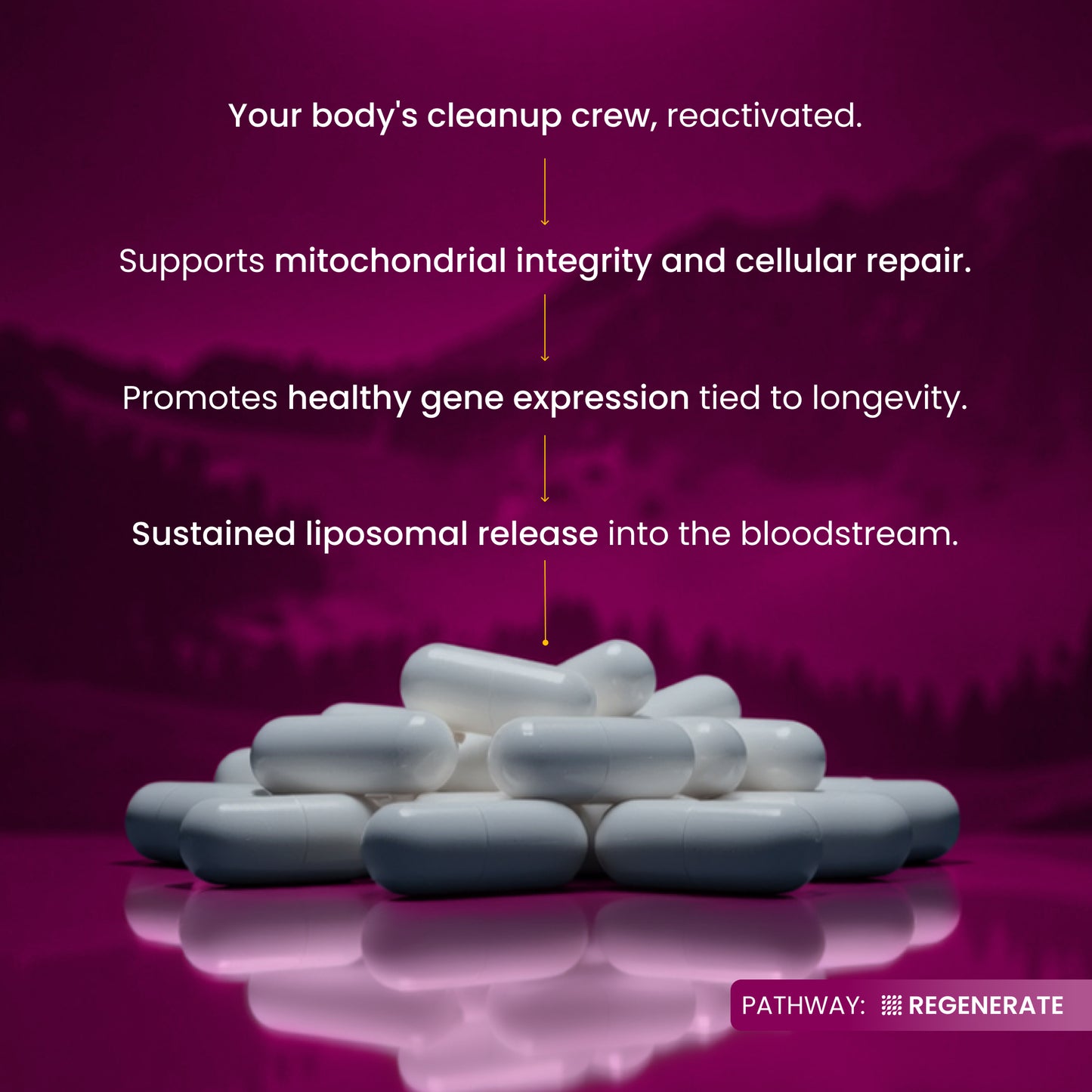 White capsules on a purple background with text about mitochondrial integrity and cellular repair.