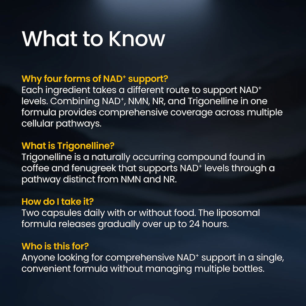 Text on a dark background explaining NAD+ support with Trigonelline