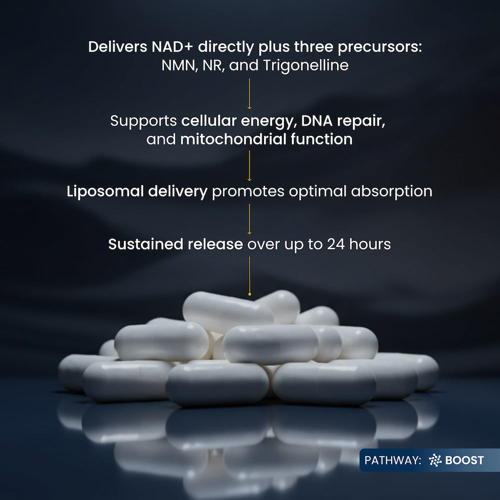 White pills on a reflective surface with text about NAD+ support on a dark background