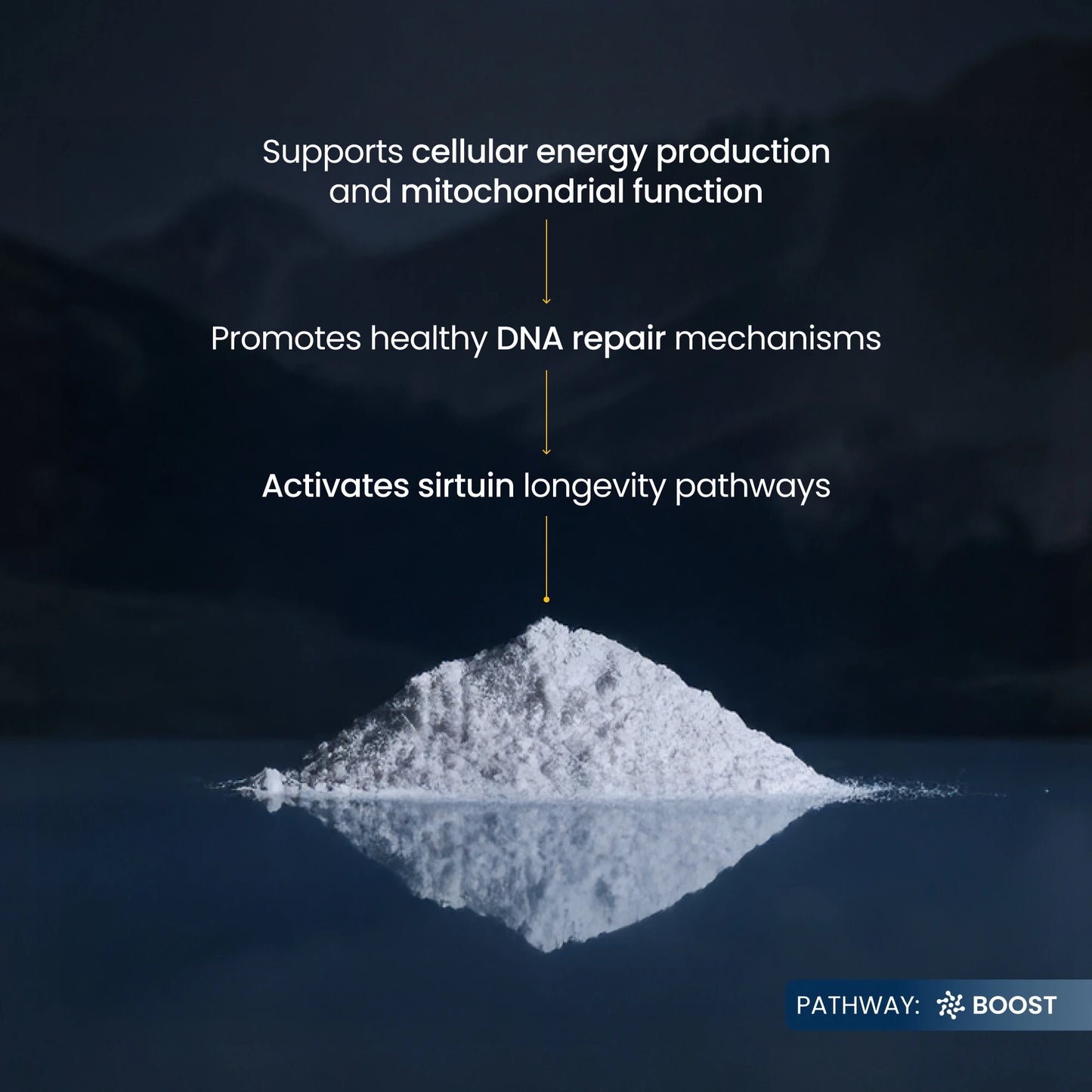Powder on a reflective surface with text about cellular energy production and DNA repair.